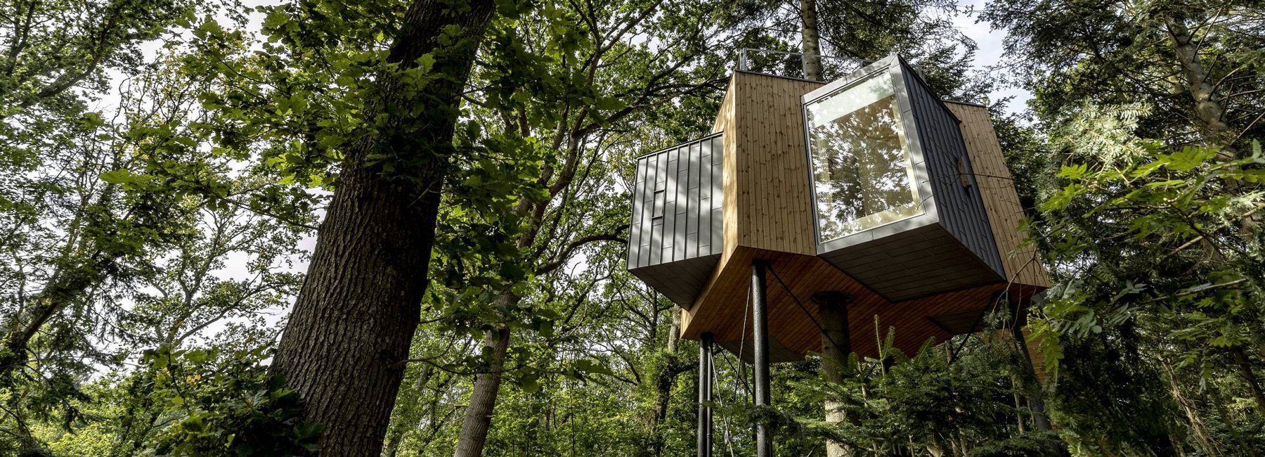 Løvtag Treetop HAY Cabins