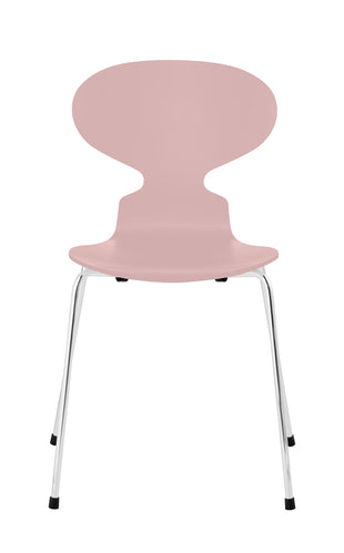 Ant 4 Legs, Coloured Shell