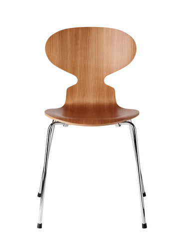 Ant 4 Legs, Veneer Shell