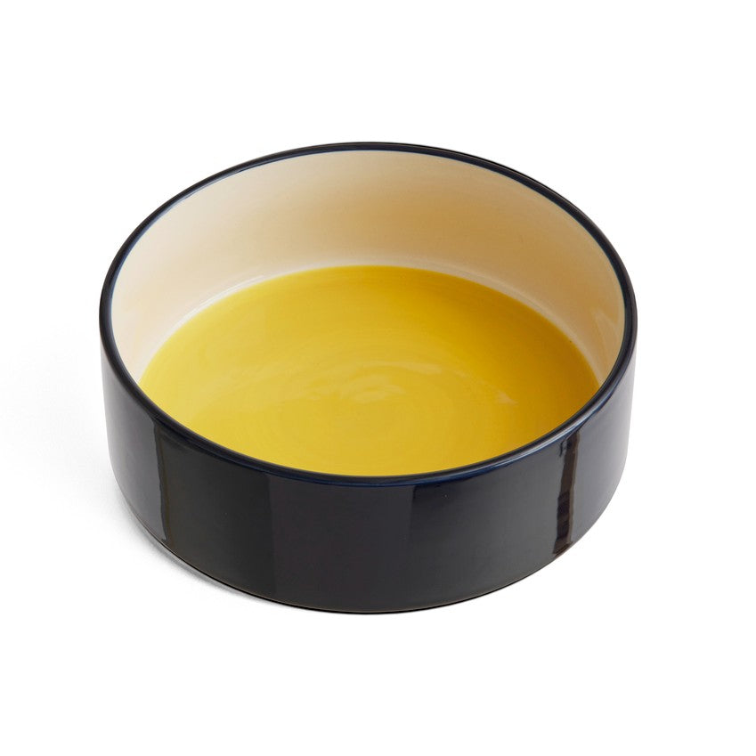 Dogs Bowl Large- Yellow, Blue