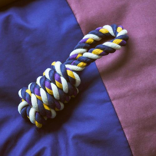 HAY Dogs Rope Toy - Blue, Purple, Ochre