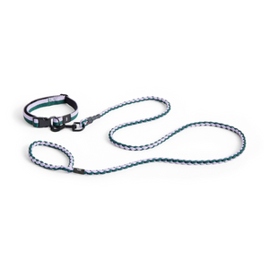HAY Dogs Leash, Braided - Lavender, Green