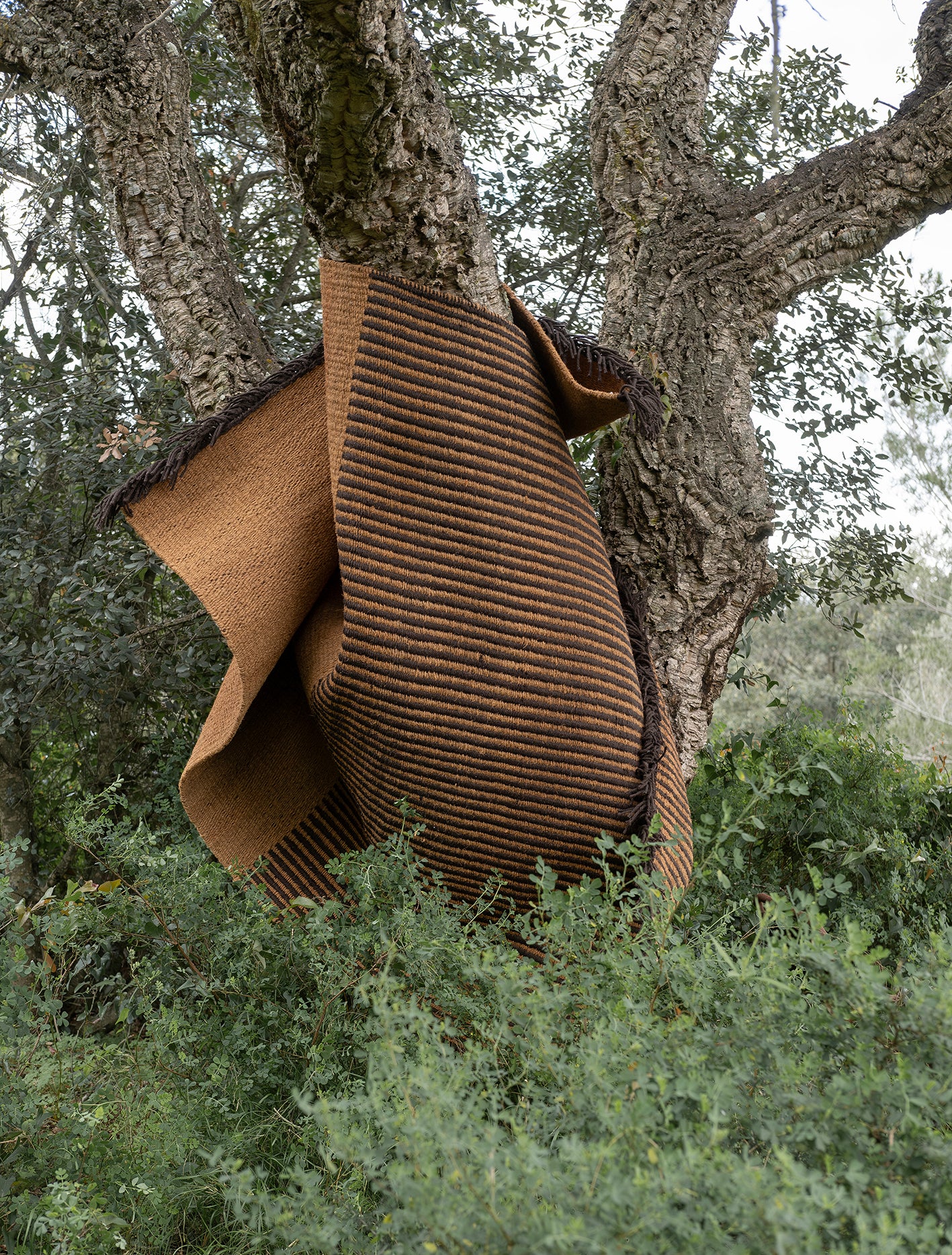 Garden Black 250x350