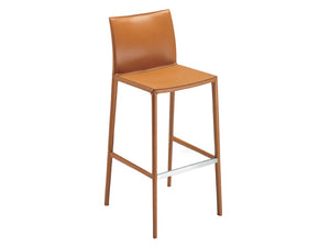 Leo Stool