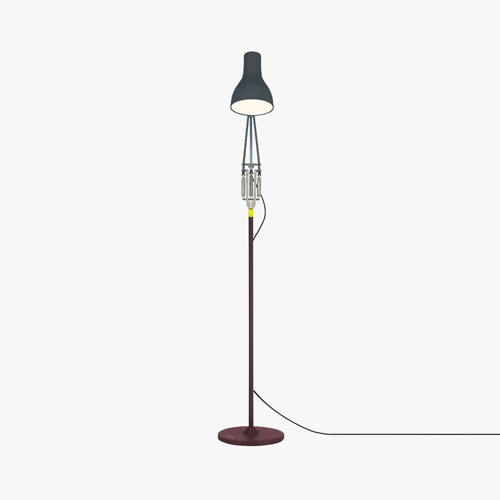 Type 75 Paul Smith Floor Lamp Edition 4