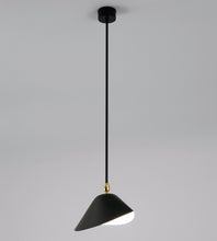 Plafonnier Bibliotheque Ceiling Lamp