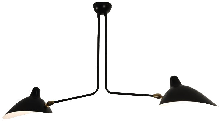 Plafonnier Ceiling Lamp, 2 still arms
