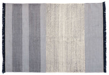 Tres Stripes Blue Rug - 170x240cm