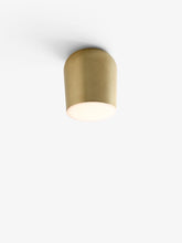Passepartout J10 Ceiling and Wall Light