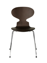 Ant  4 Legs, Veneer Shell