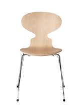 Ant  4 Legs, Veneer Shell