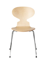 Ant  4 Legs, Veneer Shell