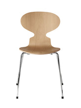 Ant  4 Legs, Veneer Shell