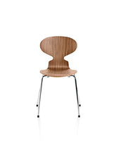 Ant  4 Legs, Veneer Shell