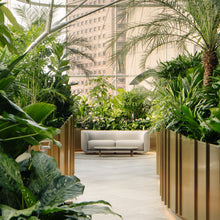 Fat Tulip - 2.5 Seater Sofa