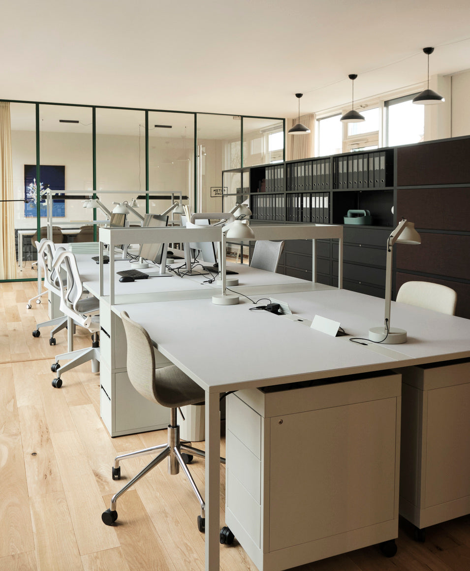 New Order - NO Shelf 150