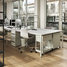 New Order - NO Shelf 150