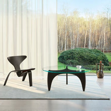 FH PK0 A Black Coloured Ash