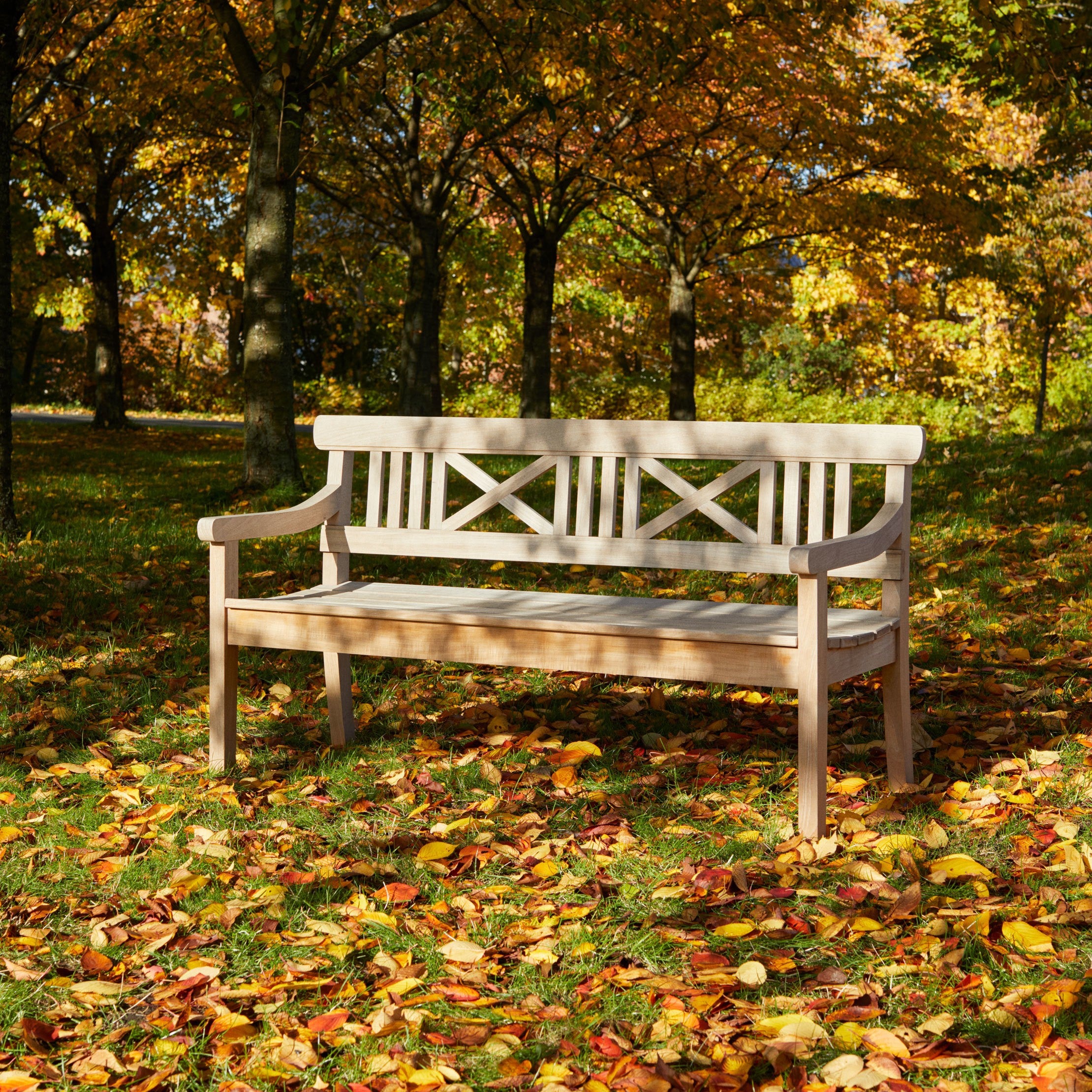 Drachmann Bench 165