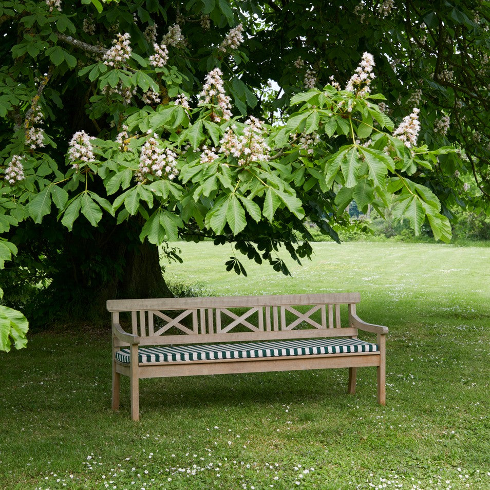 Drachmann Bench 200