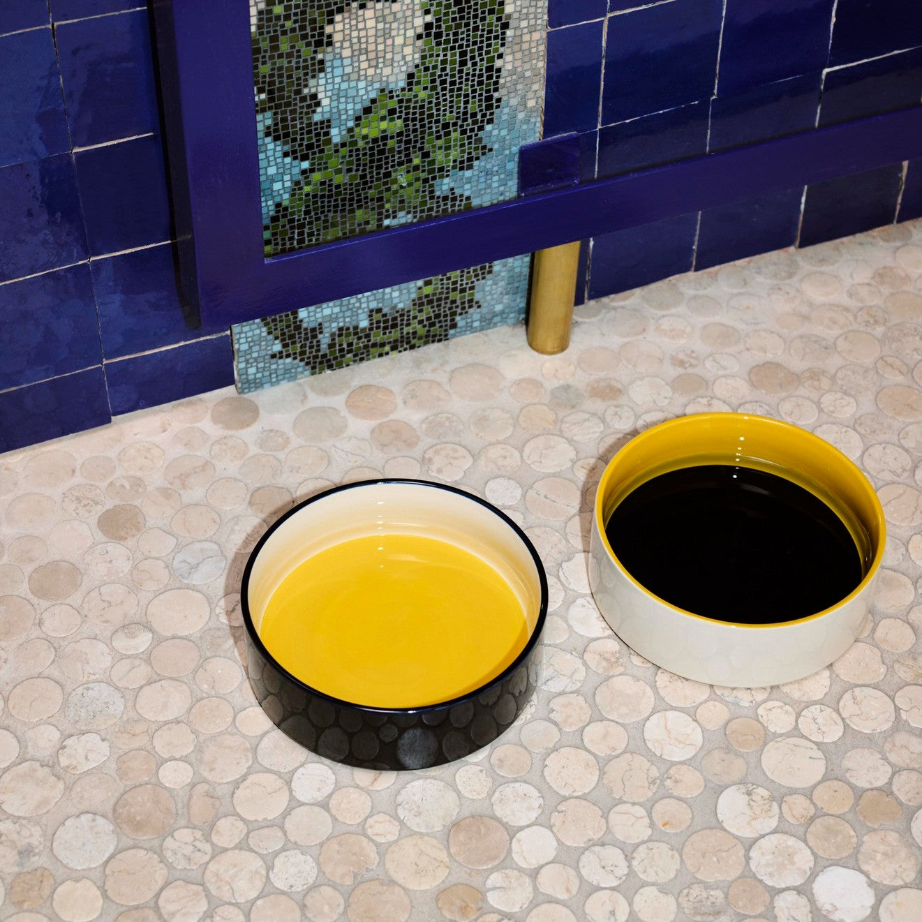 Dogs Bowl Large- Yellow, Blue