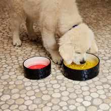 Dogs Bowl Large- Yellow, Blue