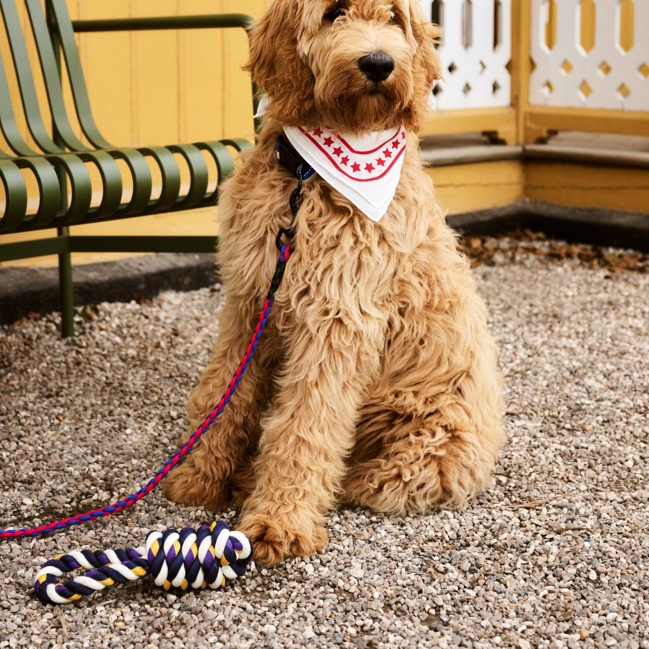 HAY Dogs Rope Toy - Blue, Purple, Ochre