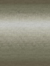 Tsar Neva Fade Range