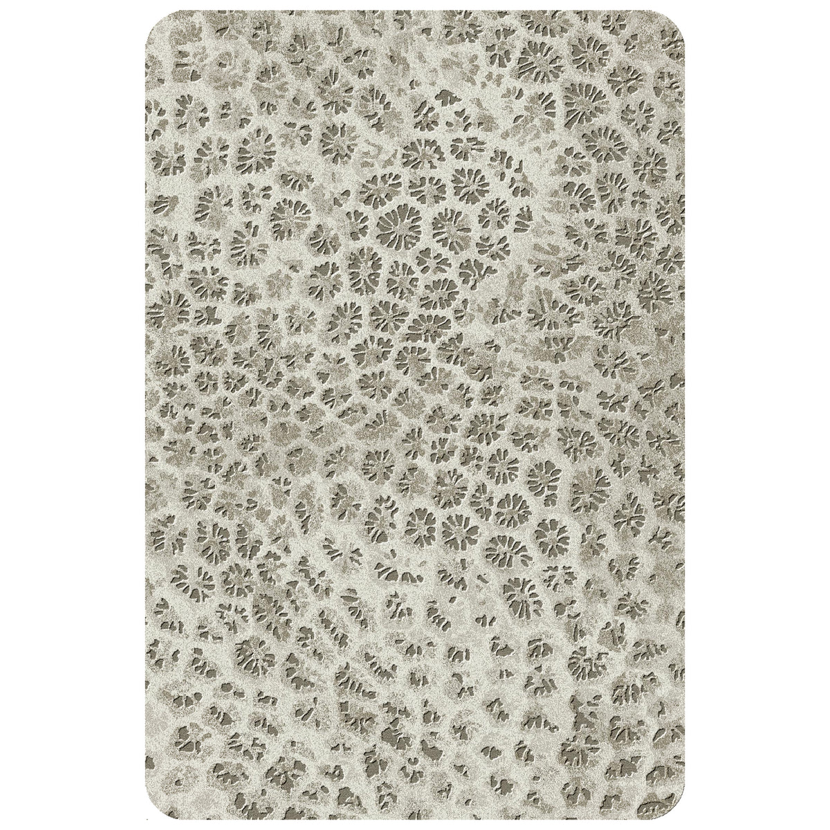 Reef 200cm x 300cm