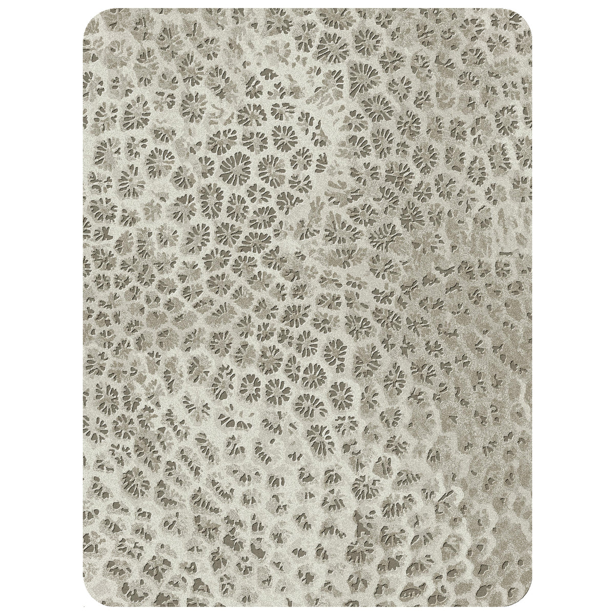 Reef 300cm x 400cm
