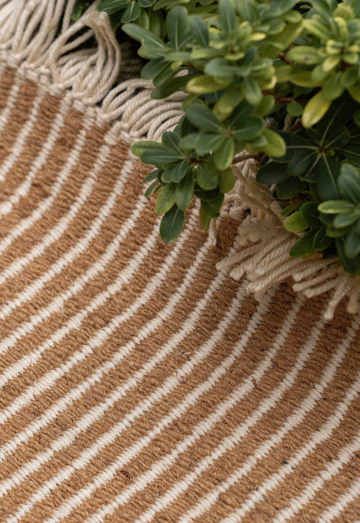 Garden Natural 250x350