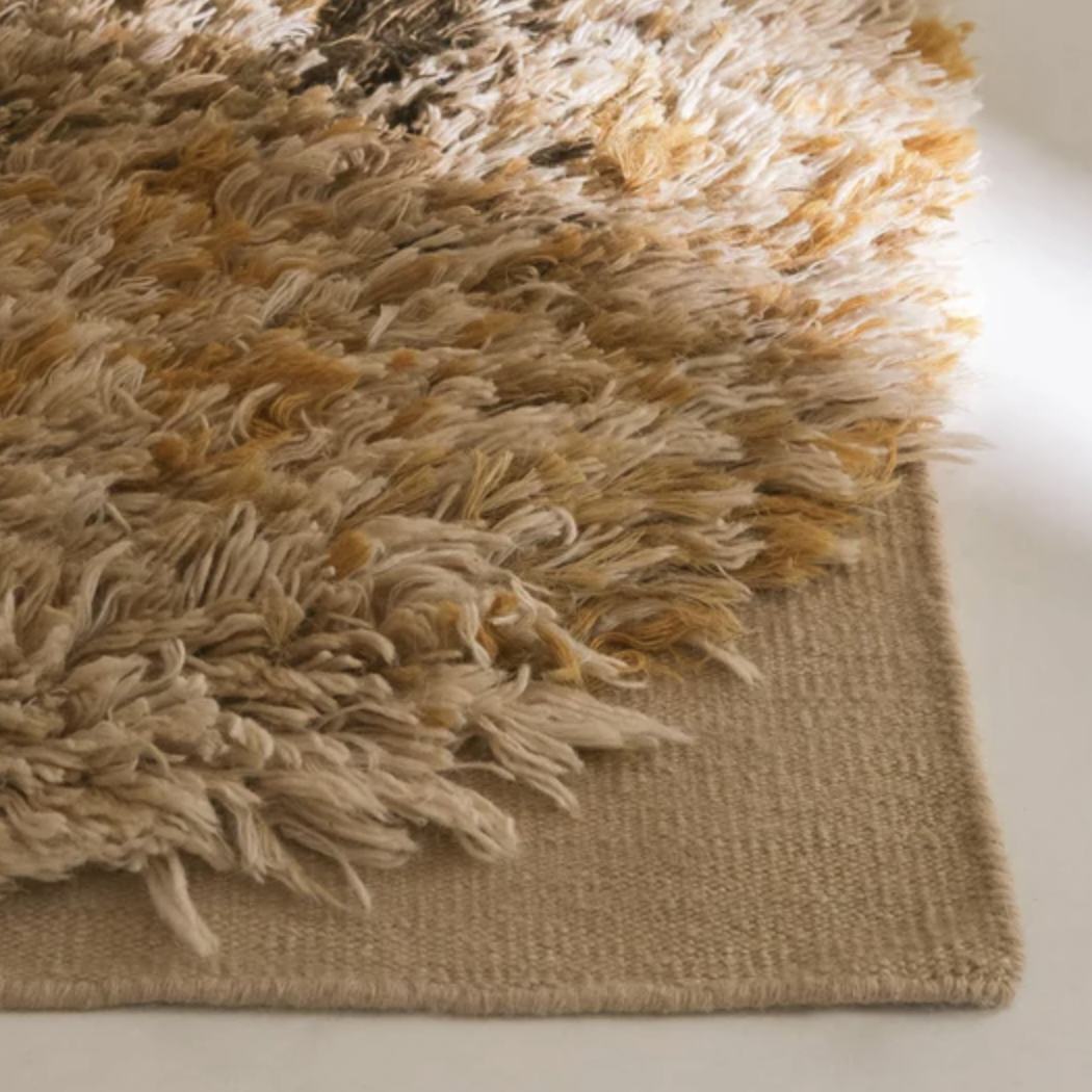 Alga Collection
