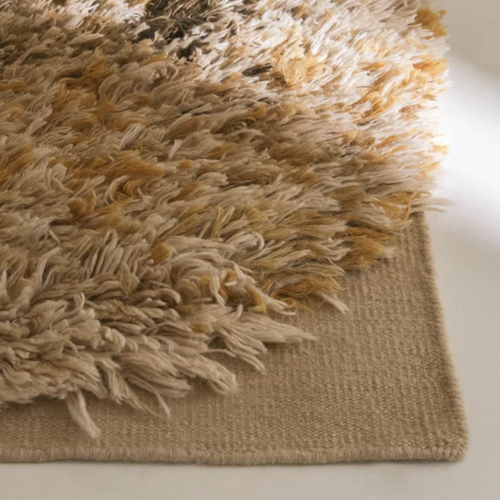 Alga Collection